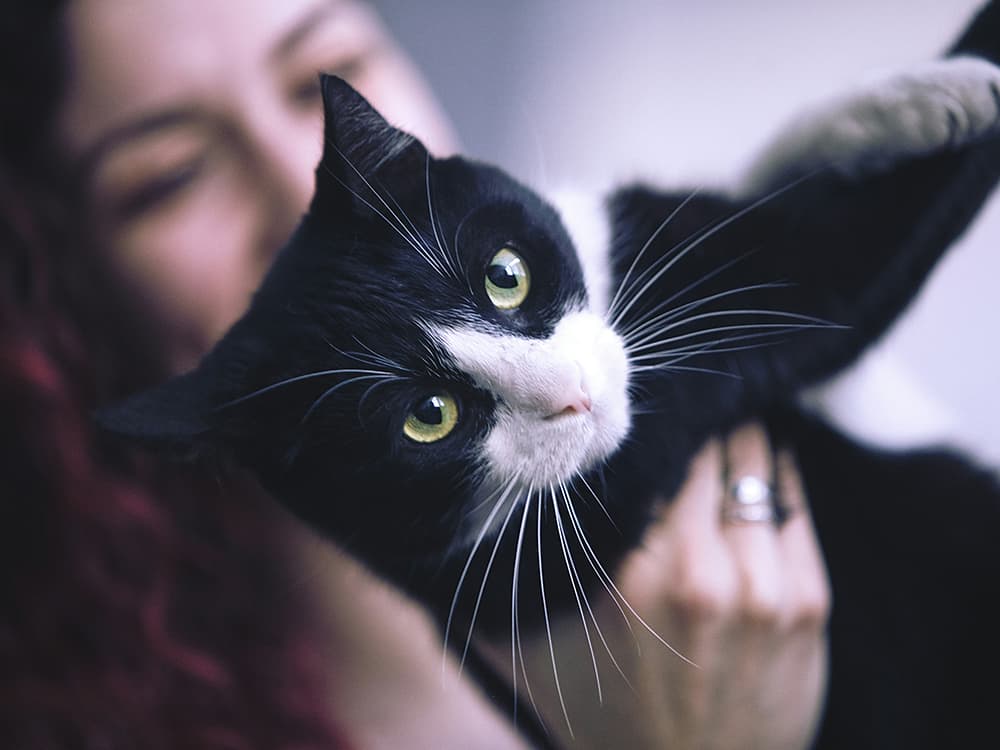 Woman and cat